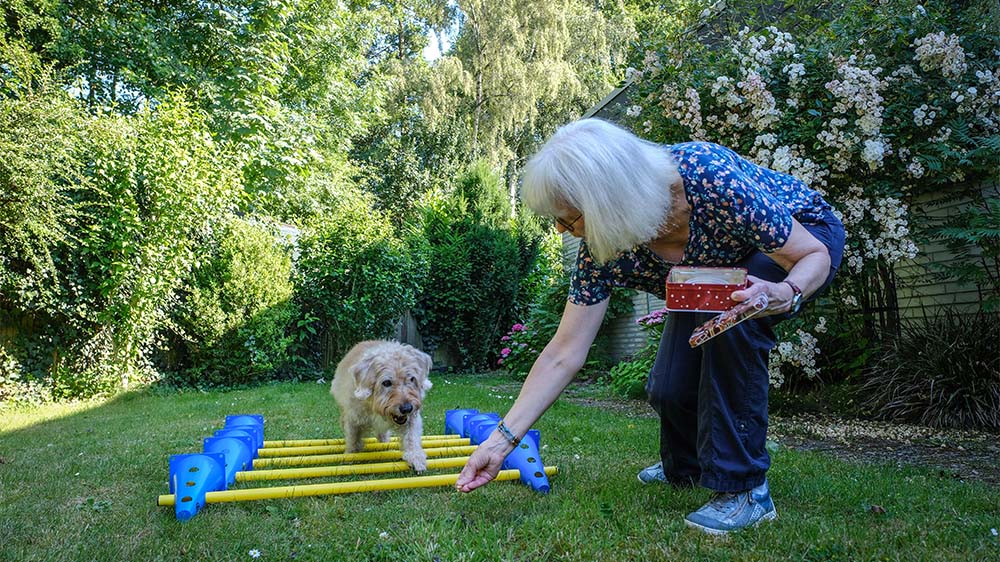 Im Garten trainiert Anngret Neuwirth mit Teddy leichte Übungen mit Hindernissen