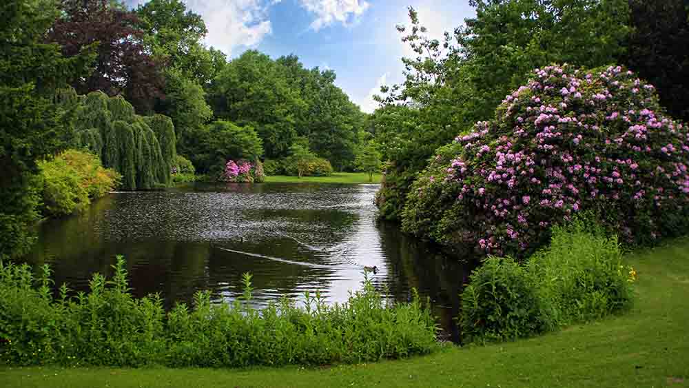Der Schlossgarten von Oldenburg zählt zu den kühlen Orten