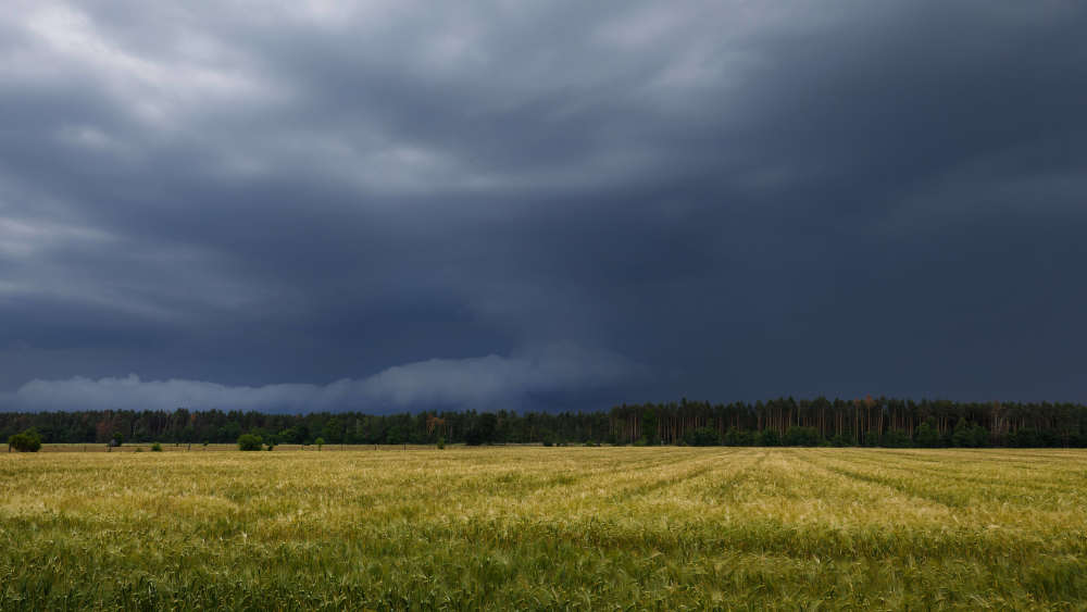 Laut Deutschem Wetterdienst ist eine Vorhersage für die kommende Woche heutzutage ungefähr so zuverlässig, wie sie es vor dreißig Jahren für den nächsten Tag war