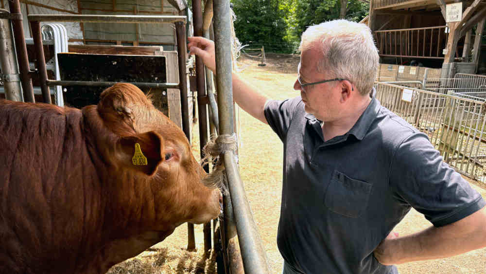 Image - Sozial-Projekt: Mit Arbeitslosen bedrohte Nutztiere retten