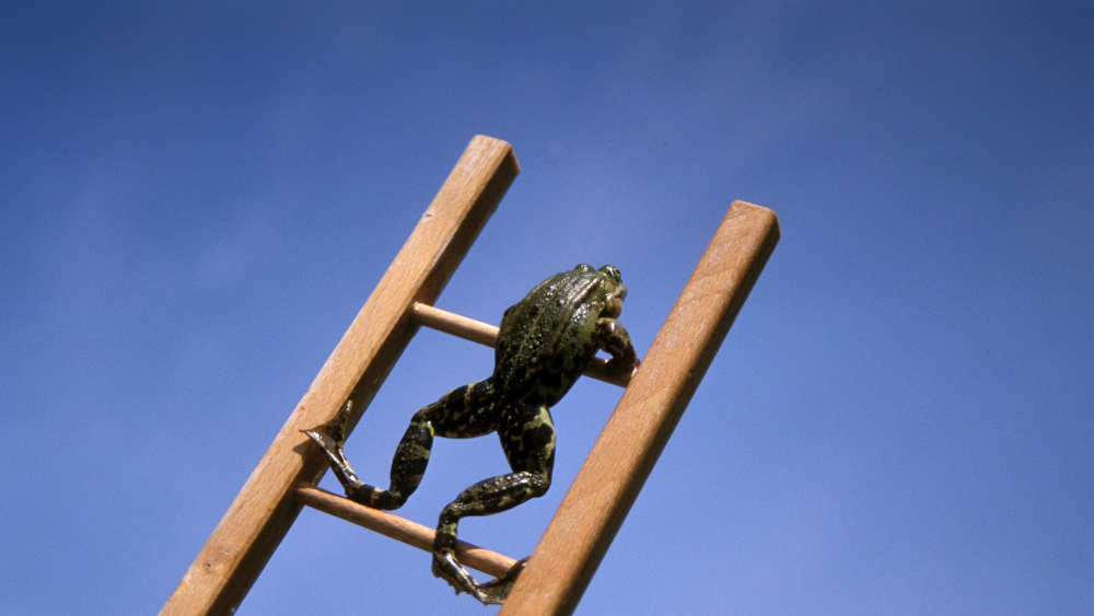  Früher war's der Wetterfrosch auf der Leiter. Die Wettervorhersage im TV wird 75