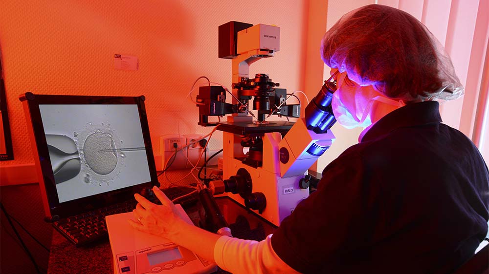 Über den Umgang mit Eizellspenden in Deutschland wird weiter diskutiert