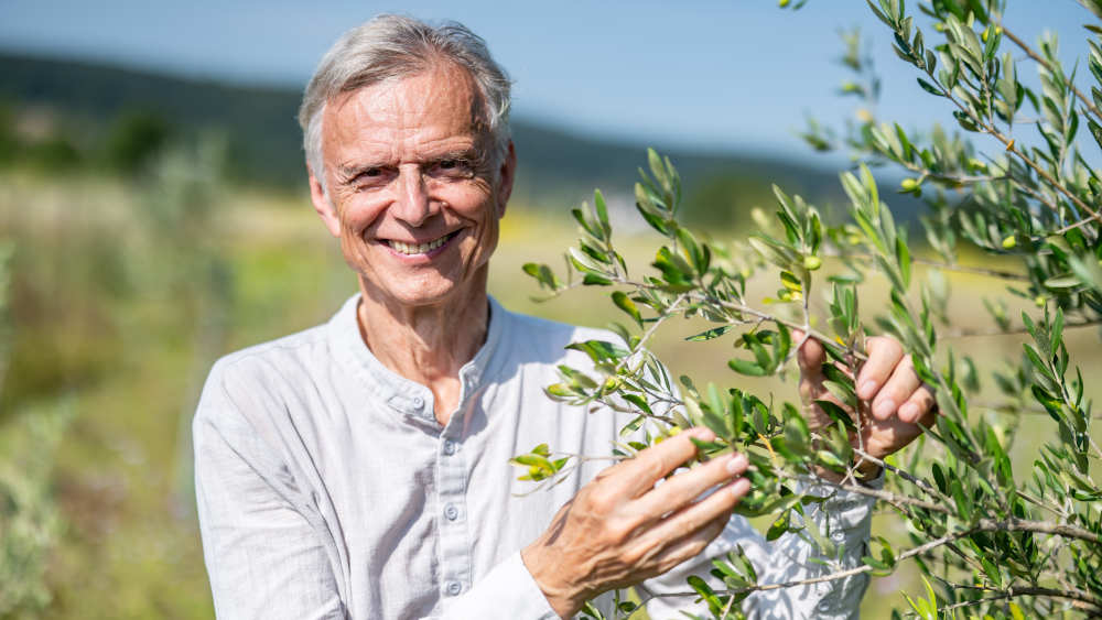 Hartmut Schoenherr (Schönherr) in seiner Olivenplantage in Obergrombach, Bruchsal, im Kraichgau