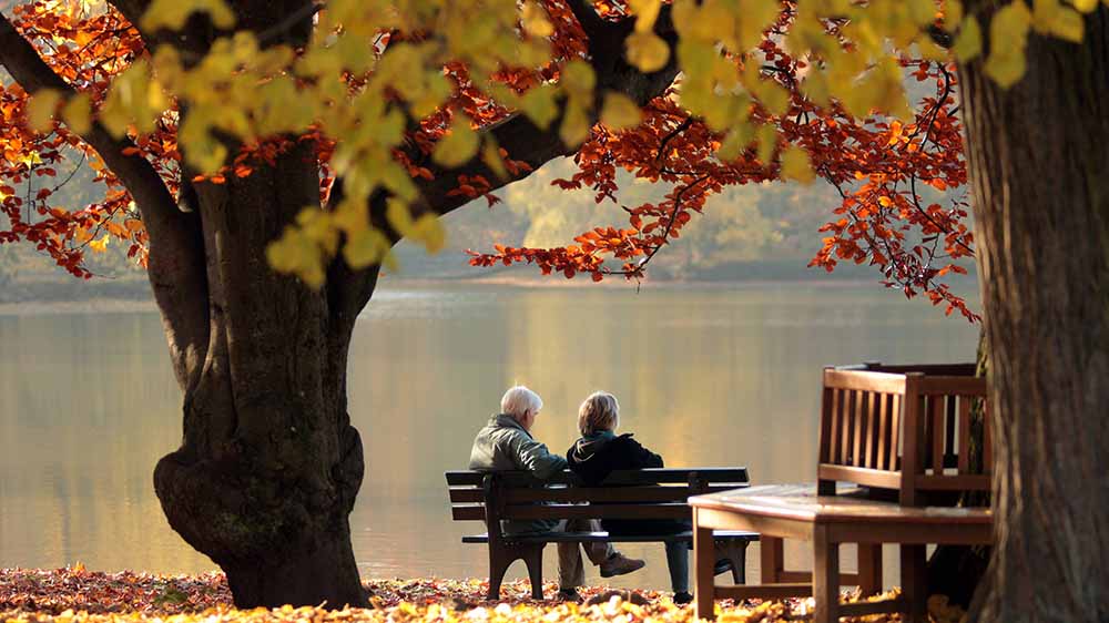 Image - Der Herbst naht – wie man eine Jahreszeit zu lieben lernt
