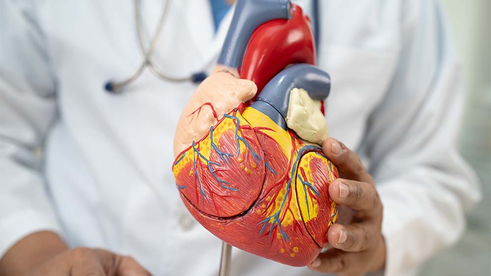 Ein neues Gesetz soll Herz-Kreislauf-Erkrankungen vorbeugen