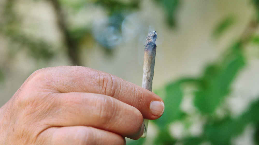 Image - Cannabis macht “doof” – CSU-Post sorgt für Ärger