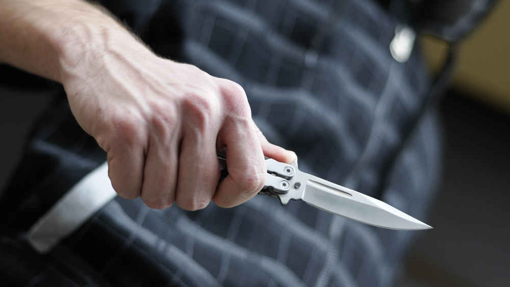 Image - Grünen-Politikerin: FDP sollte Blockade beim Waffenrecht aufgeben