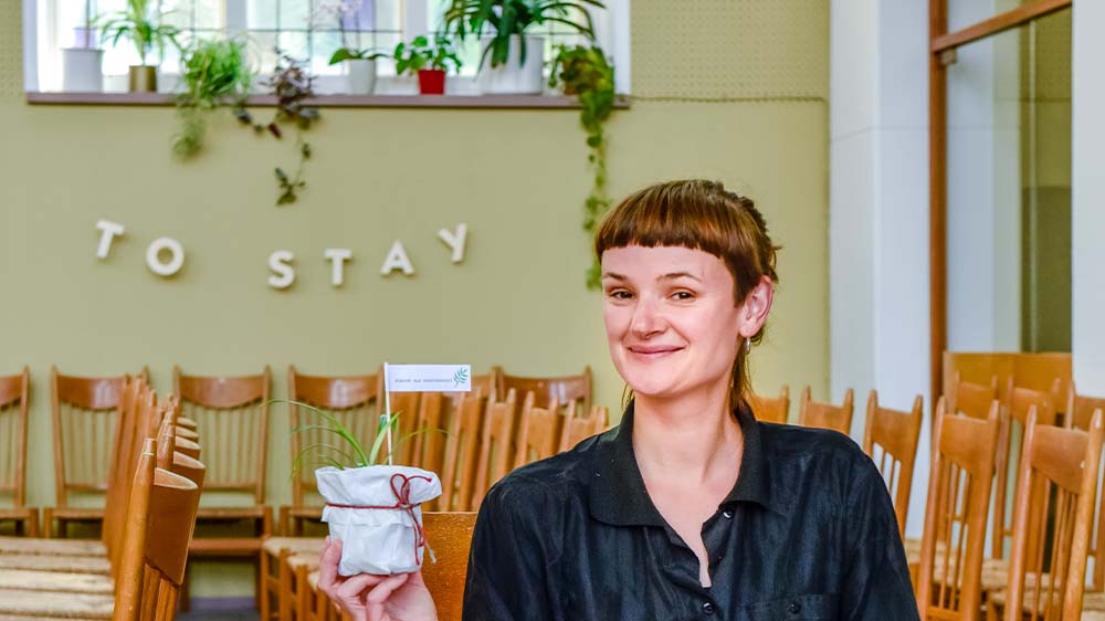 Image - Asyl auf der Kirchenfensterbank