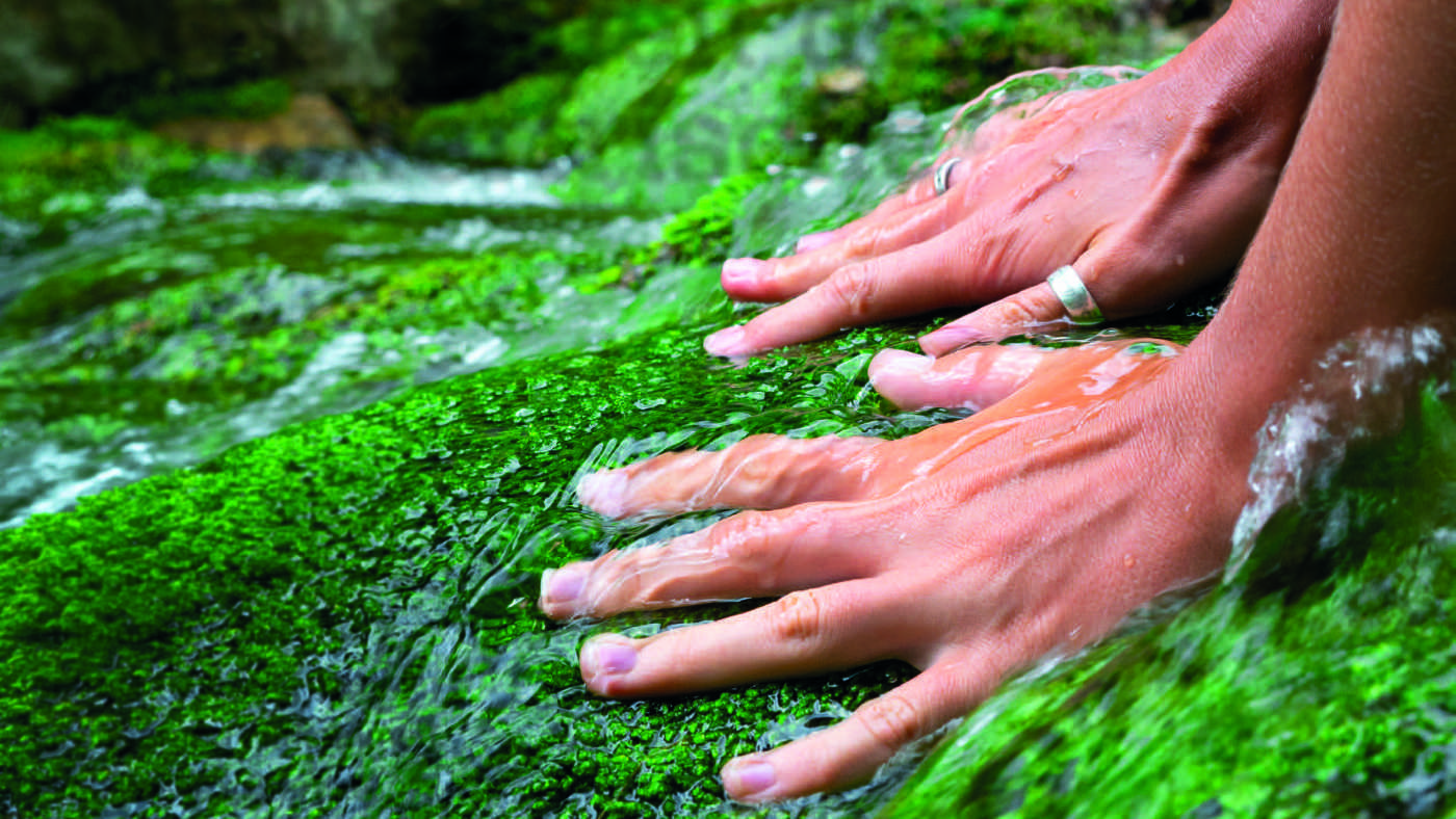 Einfach nur schön: sich vom quellnahen Wasser eines Baches streicheln lassen