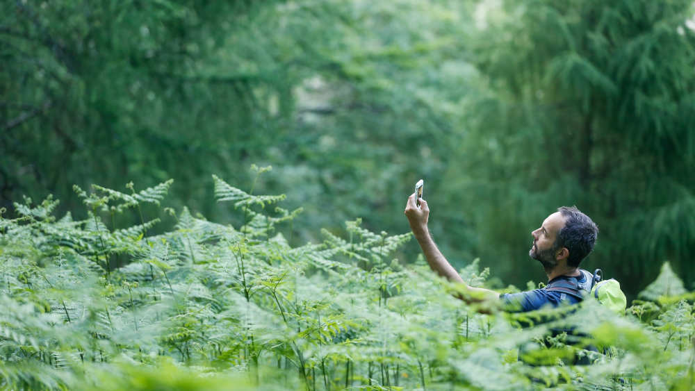 Der allererste Geocache wurde 2000 versteckt. In jenem Jahr verzichteten die USA auf die künstliche Störung des GPS-Signals; GPS steht für Global Positioning System