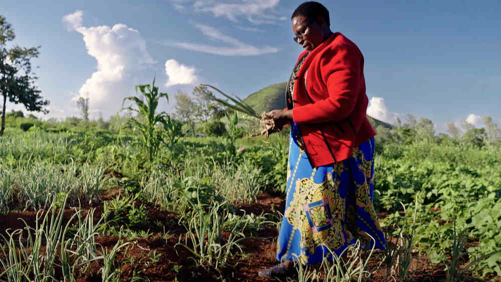 Image - Arte zeigt Dokureihe “Hüterinnen der Erde”