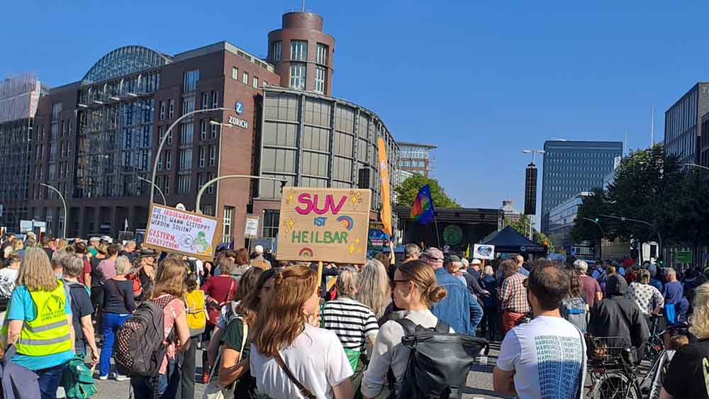 Auch in Hamburg rief "Fridays for Future" zum Protest auf