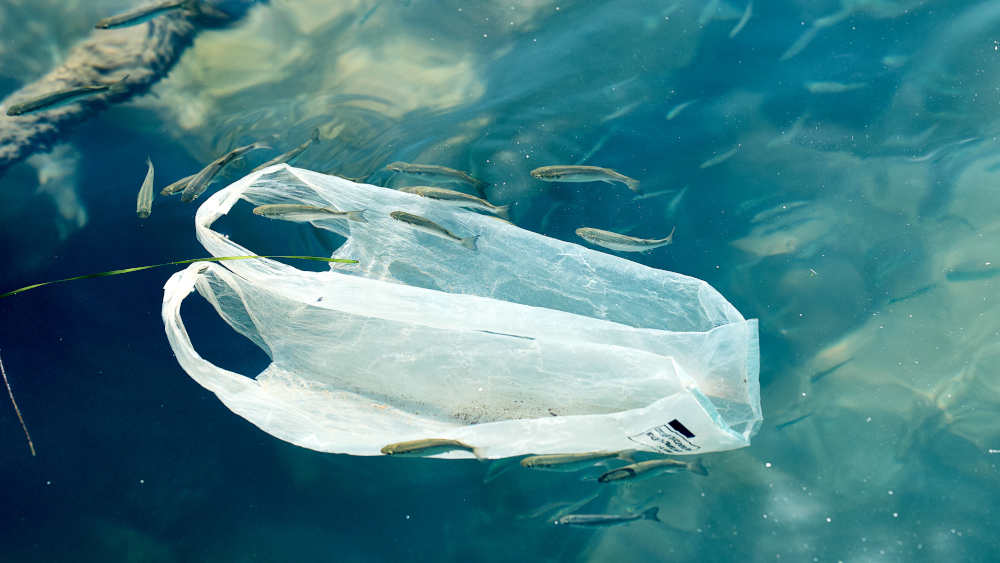 Image - Forschungsprojekt: Mikroplastik überall an Nord- und Ostsee