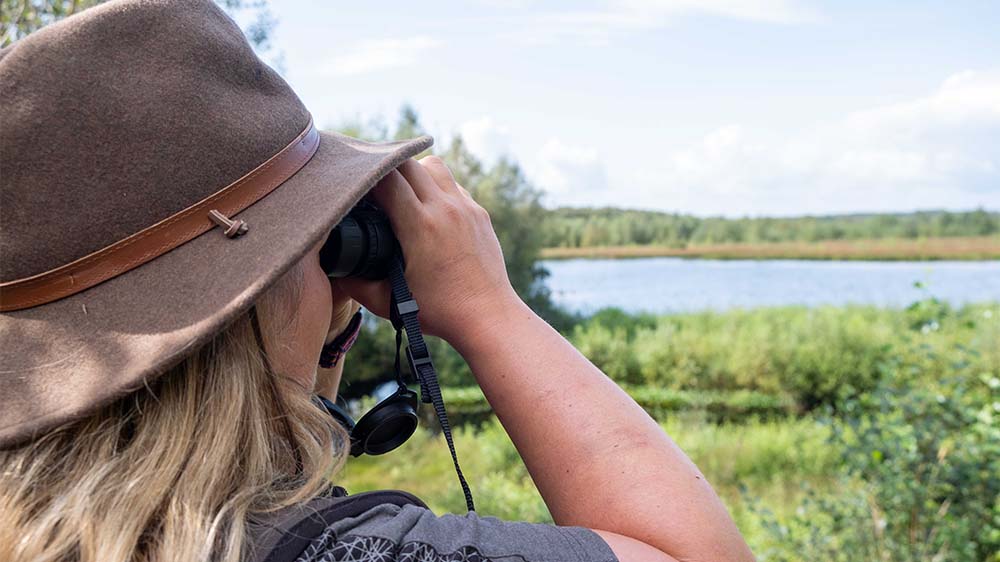 Alles im Blick: Rangerin Hauke Hintz im Quickborner Himmelmoor