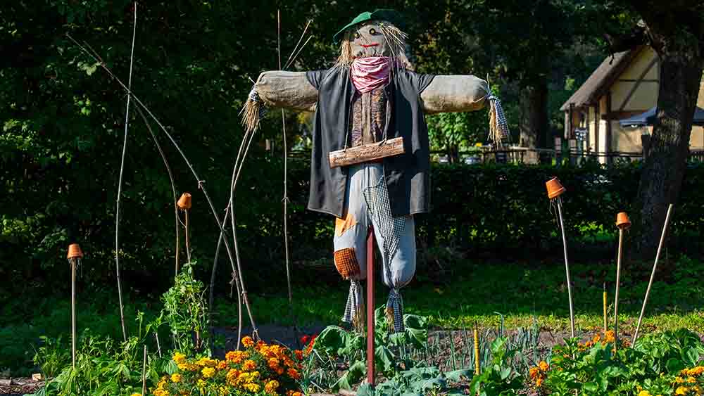 Zu einem echten Schrebergarten gehört eine Vogelscheuche