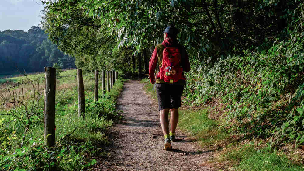 Image - Gesundheitsexperten: Bewegung kann Krebsrisiko deutlich mindern