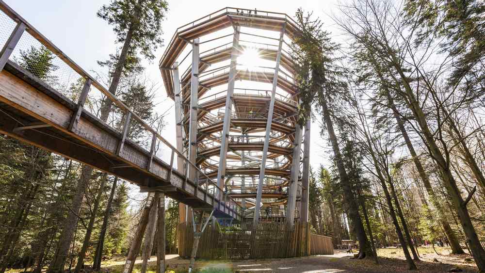 Zu mehr Verantwortung für die Schöpfung haben die Kirchen aufgerufen