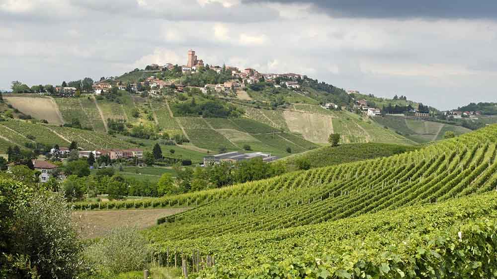 Entlang der Weinberge im Piemont bei Asti führt der neue Pilgerweg