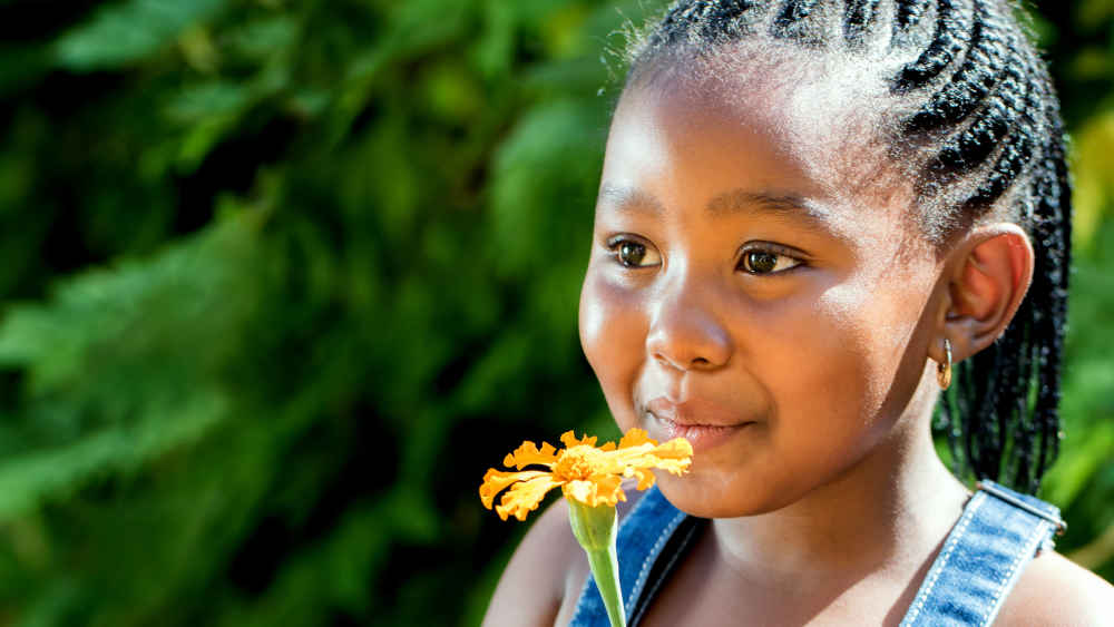 Das menschliche Haar prägt weit mehr, als man vermuten würde
