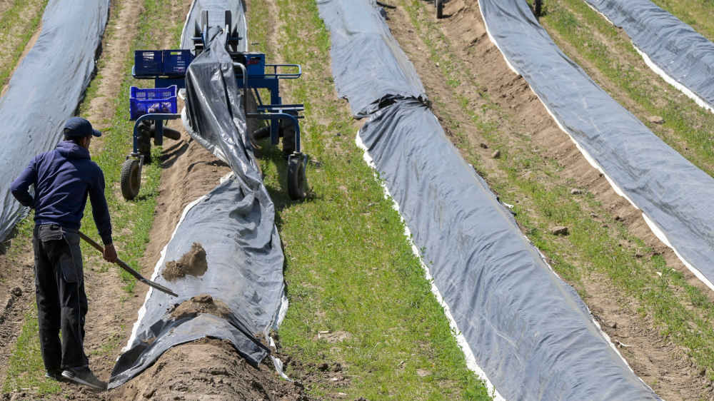 Jeder zweite Arbeitsmigrant klagt einer Studie zufolge über Diskriminierung