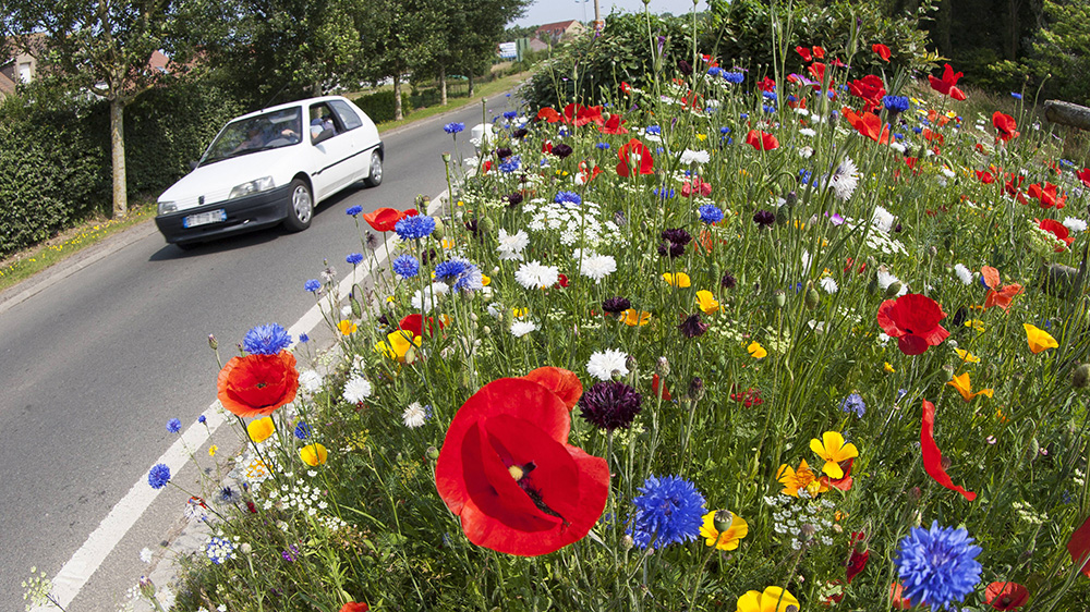 Die Biodiversität, also die Vielfalt der Arten, sieht der BUND in Gefahr