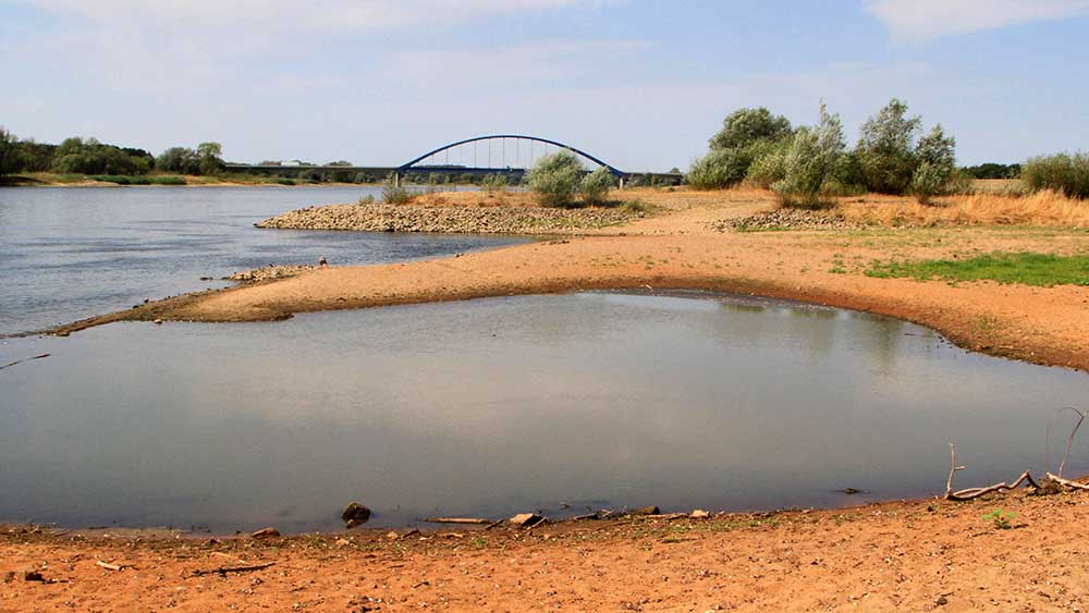 Dürren machen den Flüssen in Deutschland zu schaffen, hier die Elbe bei Dömitz (Mecklenburg-Vorpommern) im August 2018