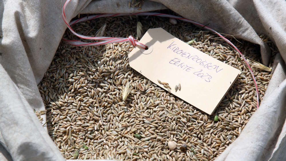 Image - Özdemir würdigt zehn Jahre “FriedensBrot”