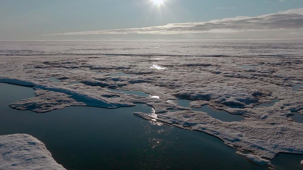 Unter dem Arktis-Eis befindet sich ein ganz besonderes Ökosystem, doch es ist in Gefahr