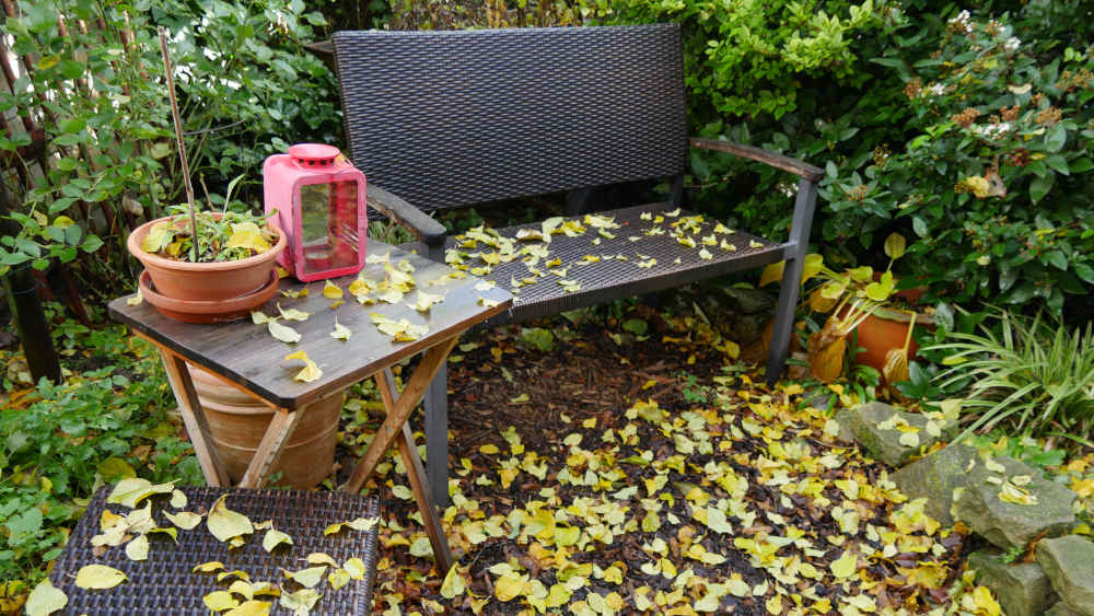 Im herbstlichen Garten könne Gartenfreunde noch Hand anlegen - aber nicht allzu viel