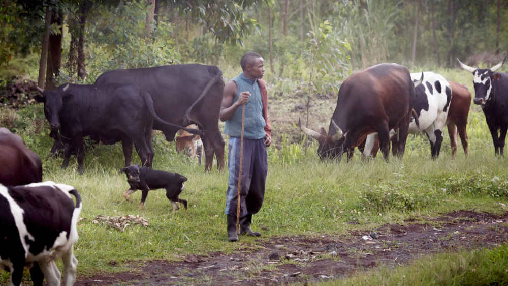 Image - Studie: 3,1 Milliarden Menschen können sich nicht gesund ernähren