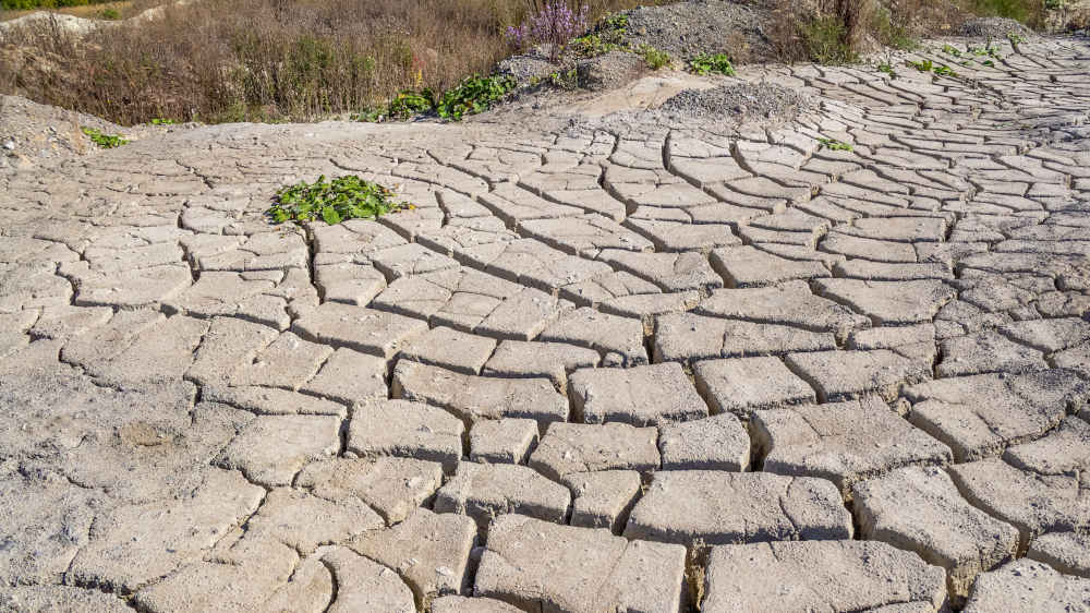 Meteorologen vermuten, das 2024 das wärmste Jahr seit Aufzeichnung wird