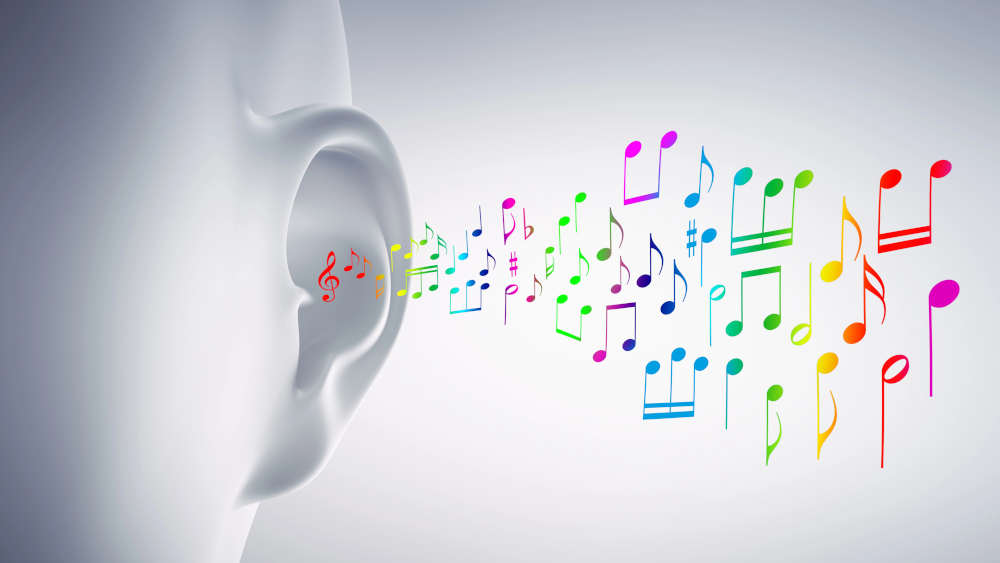 „Musik und die gesamte auditive Umgebung haben nachweislich starken Einfluss auf Gesundheit, Heilung und Wohlbefinden“, sagt Hajdu, Professor für multimediale Kompositionen an der Hamburger Hochschule für Musik und Theater