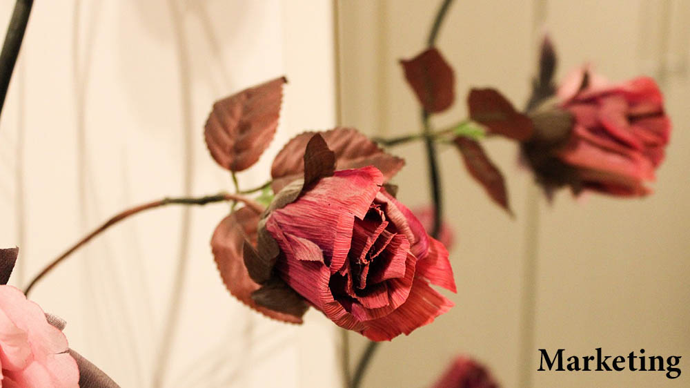 Image - Das Leben der Blume – wie sie zum langlebigen Geschenk wird