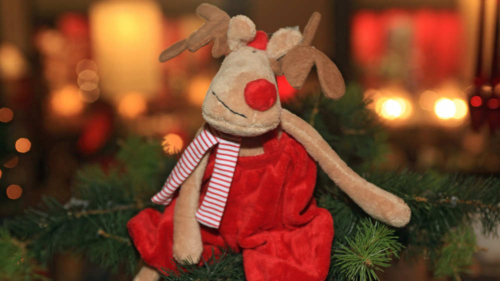 . Rudolph ist der wohl bekannteste weihnachtliche Mutmacher, hier als Stoffpuppe in einem Kaufhaus in Halle an der Saale (Archivbild)