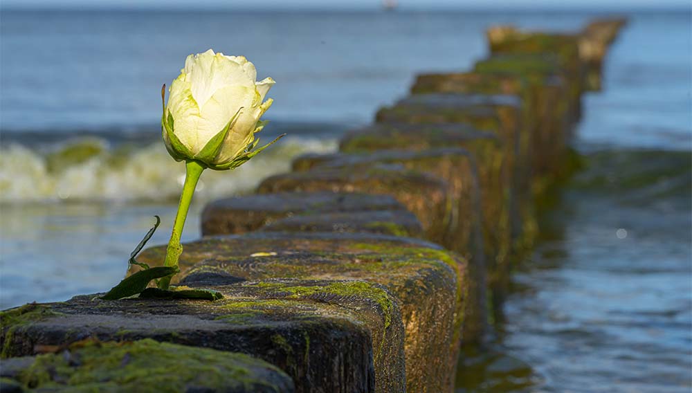 Viele Menschen können sich eine Seebestattung vorstellen