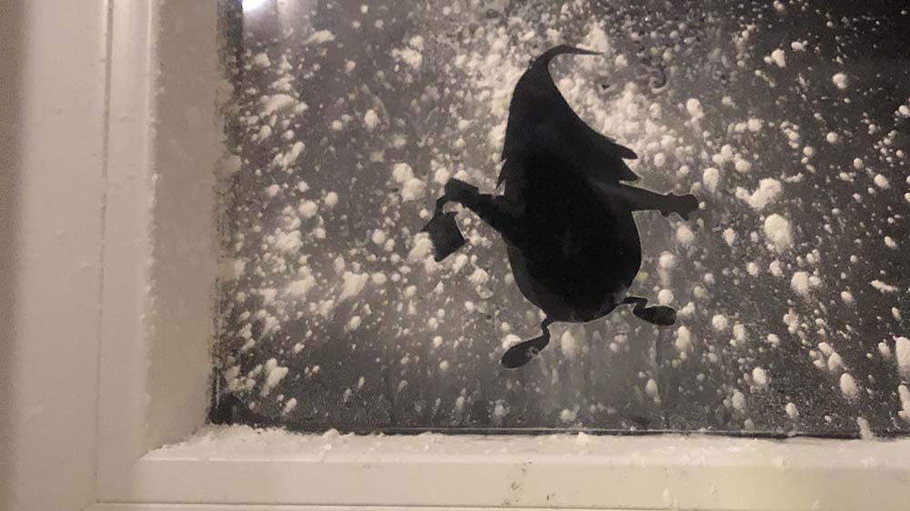 Seit acht Jahren kommt Wichtel Oke zu uns in die Familie. Mehr als einen Umriss am Fenster hat er noch nie von sich gezeigt