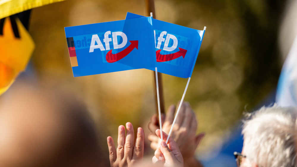 Soziologe Axel Salheiser: Viele Parteien versuchten, AfD-Wähler zurückzugewinnen, indem sie deren Kurs, besonders in der Migrationspolitik, kopierten