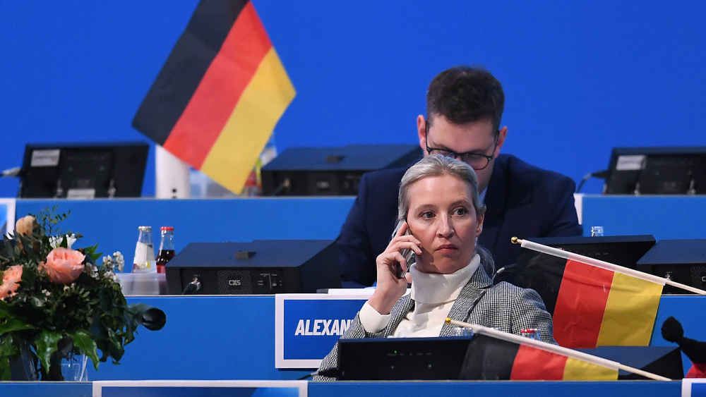 Auf dem AfD-Parteitag in Riesa wurde der Begriff „Remigration“ in das Wahlprogramm aufgenommen