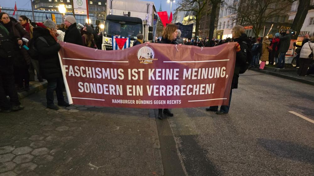 16.000 Menschen haben in Hamburg gegen die AfD demonstriert