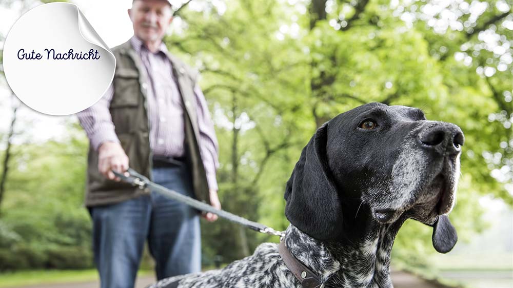 Gassi-Runden tun älteren Menschen gut, sagt eine Studie