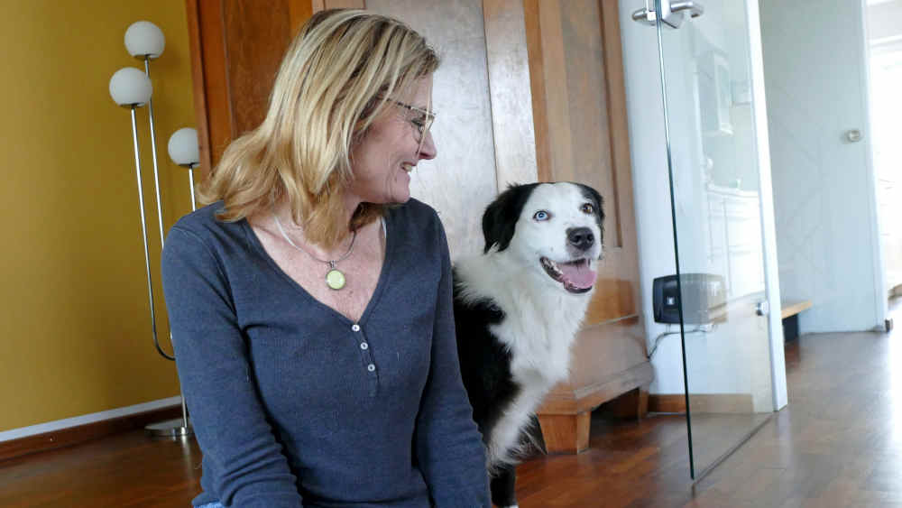 In Deutschland gibt es inzwischen rund 10,6 Millionen Hunde