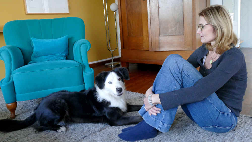 Für das Tierwohl ist es am besten, wenn sich die Paare bei der Trennung gütlich einigen