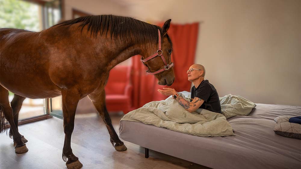 Image - Film-Tipp: Fremde, die zu Freunden werden