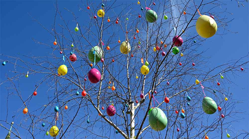 Ostern ist, wenn bunt bemalte Eier in den Sträuchern hängen