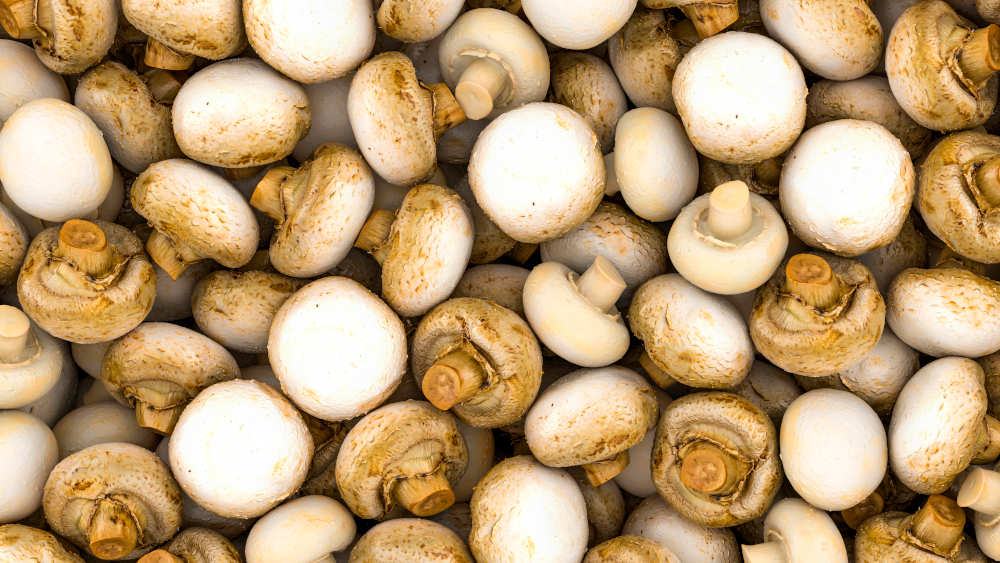 Die Champignonernte in Deutschland ist im vergangenen Jahr leicht gesunken. Laut dem Statistischen Bundesamt in Wiesbaden wurden "nur" 75.500 Tonnen geerntet