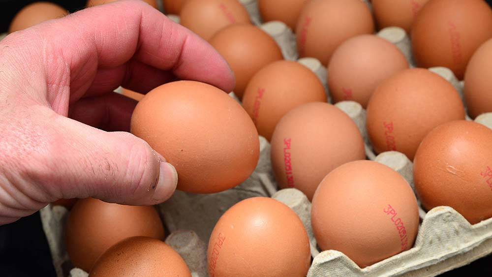 Der Eierverbrauch in Deutschland liegt auf auf Rekordkurs