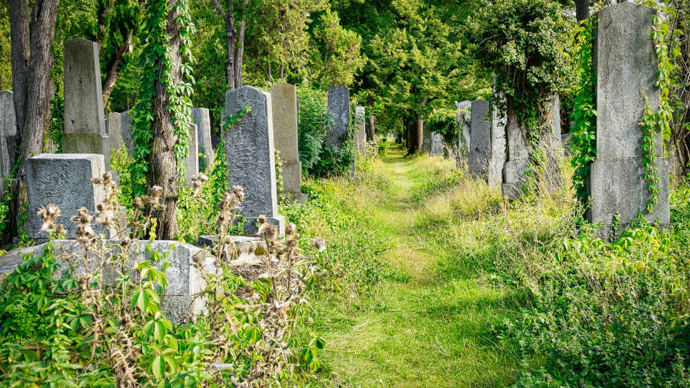 Das Bild der Friedhöfe hat sich gesellschaftlich gewandelt (Archivbild)