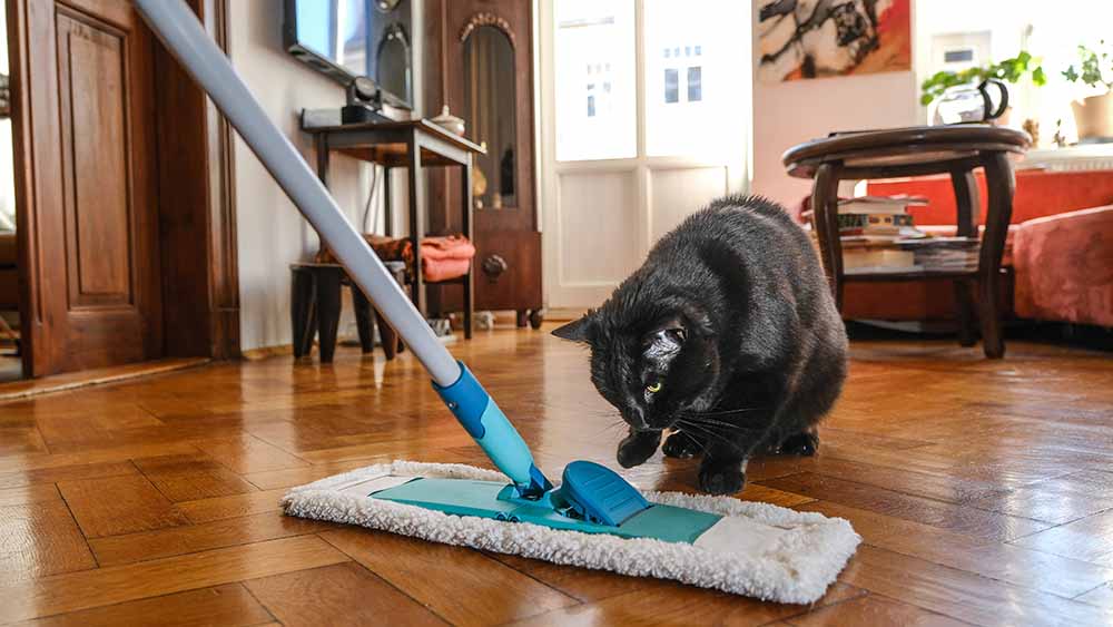 Mit den richtigen Tipps wird das Großreinemachen zum Erfolg