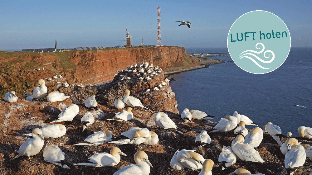 Image - Fastenmotto: Nordsee gegen Panik