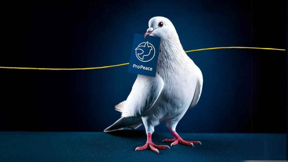 Das Forum Ziviler Friedensdienst heißt ab sofort Pro Peace